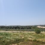 WhatsApp Image 2026-04-29 at 09.30.44 (2)